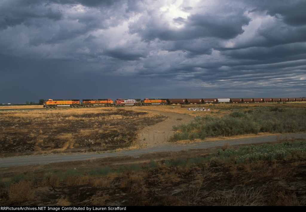 BNSF 4300 W/B